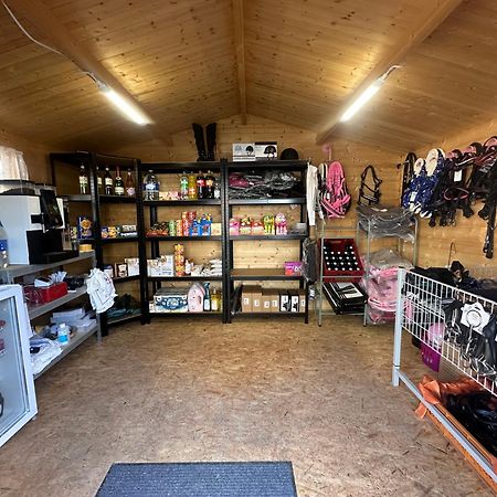 Fewo Im Reit- Und Ponyparadies Roos Halle  Экстерьер фото