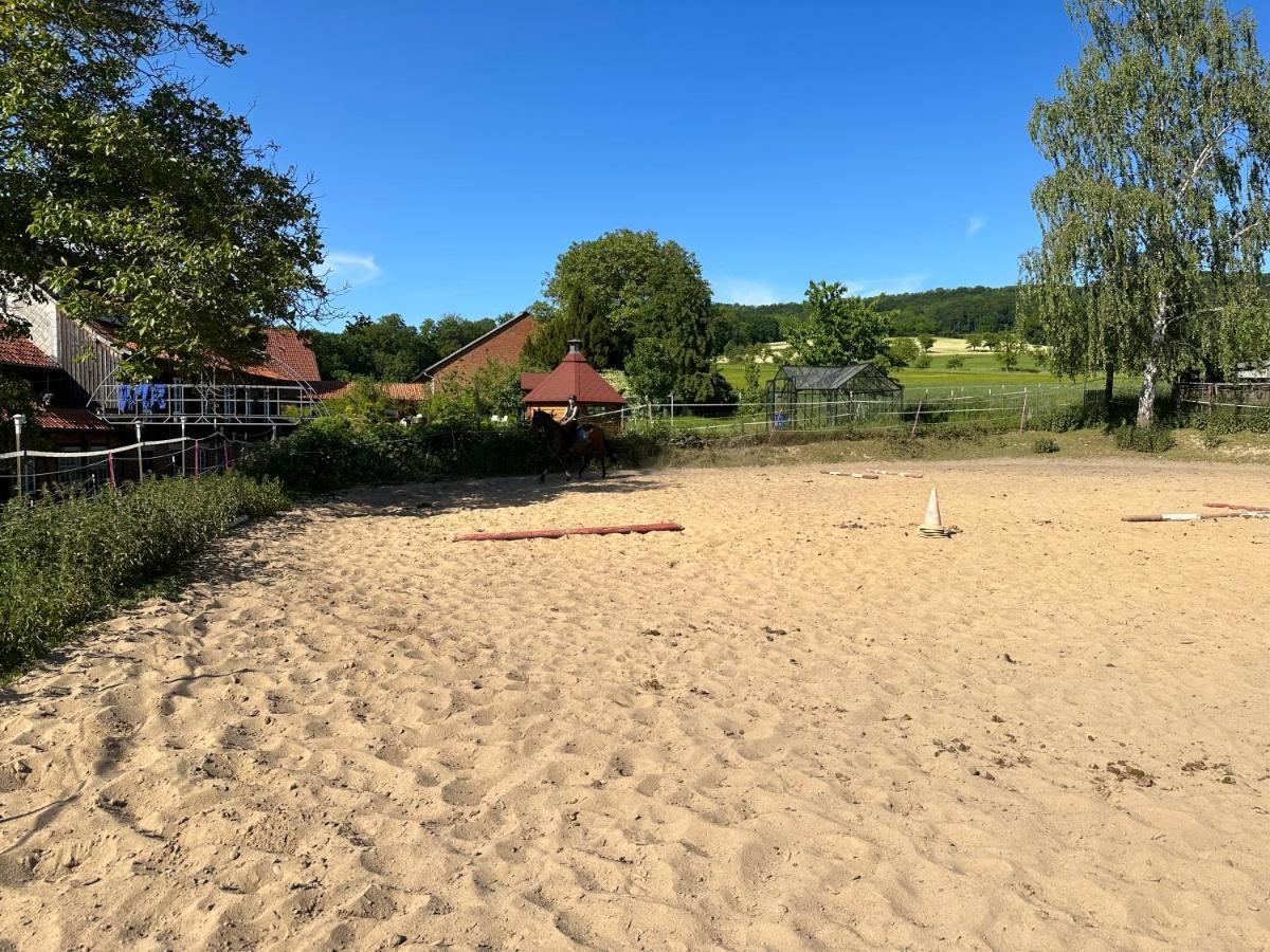 Fewo Im Reit- Und Ponyparadies Roos Halle  Экстерьер фото