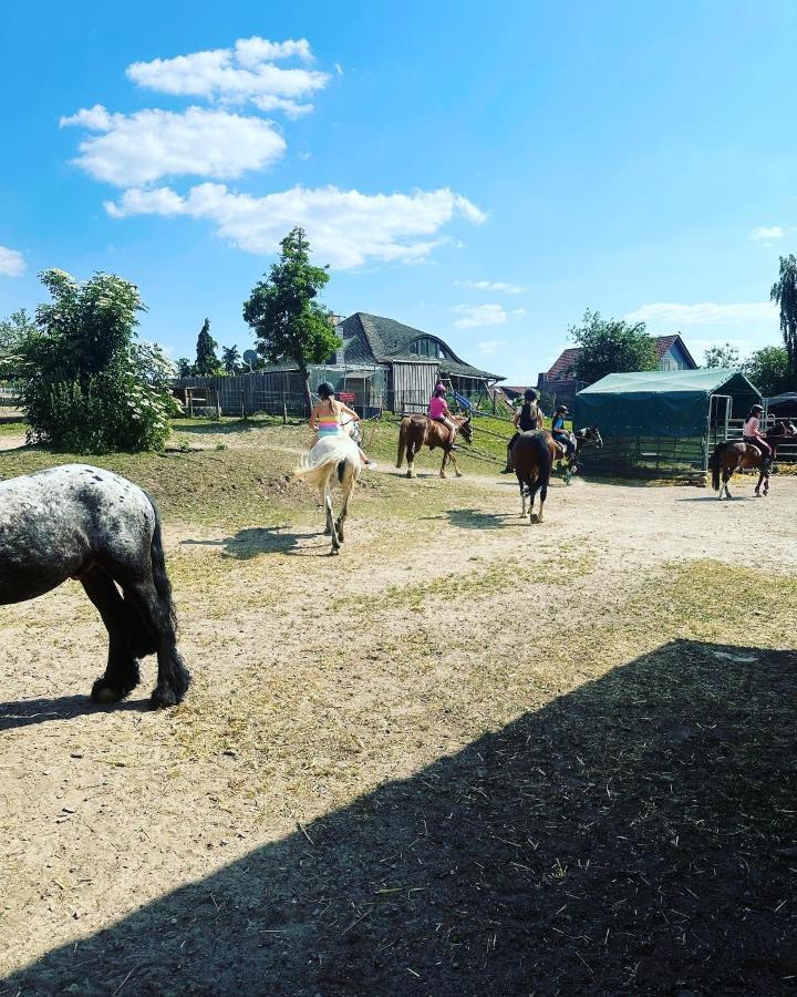 Fewo Im Reit- Und Ponyparadies Roos Halle  Экстерьер фото