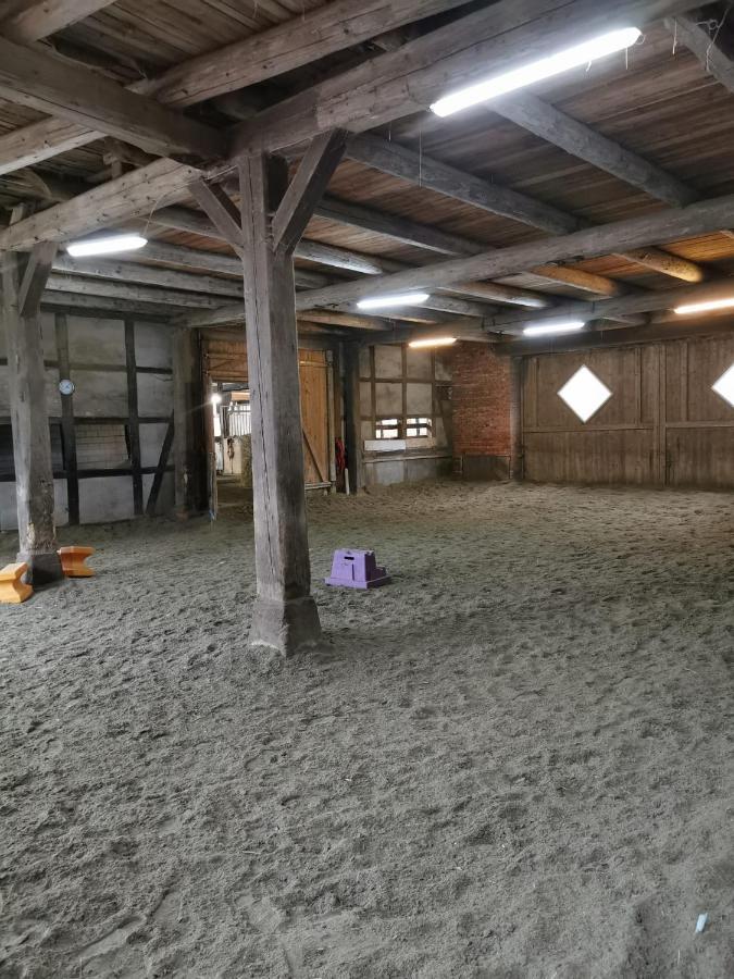Fewo Im Reit- Und Ponyparadies Roos Halle  Экстерьер фото