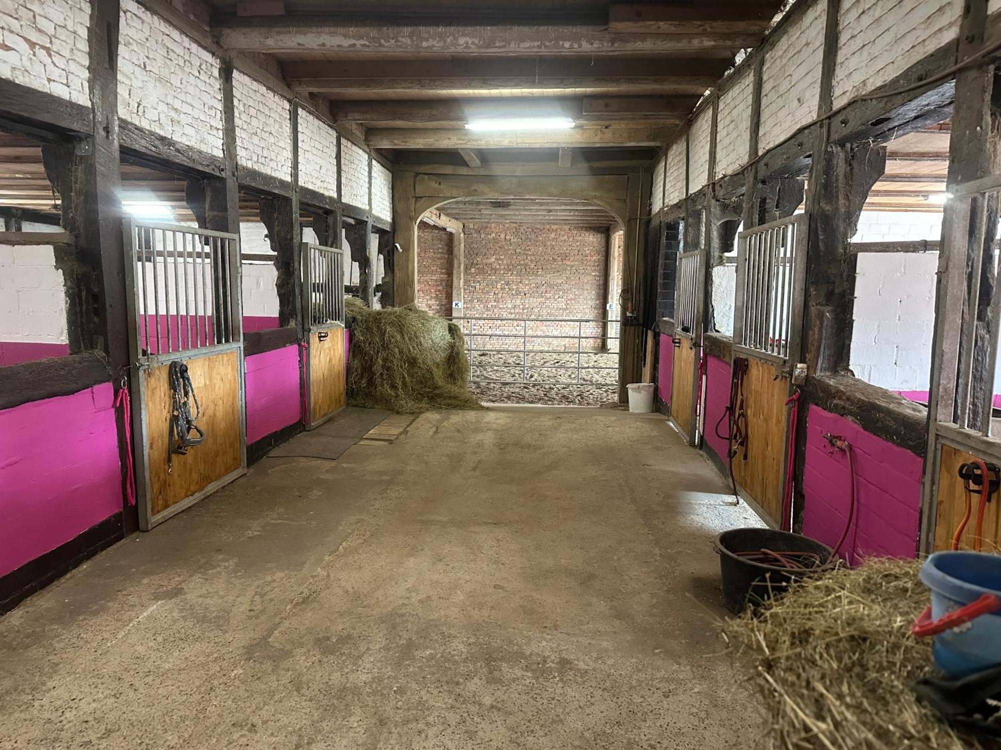 Fewo Im Reit- Und Ponyparadies Roos Halle  Экстерьер фото