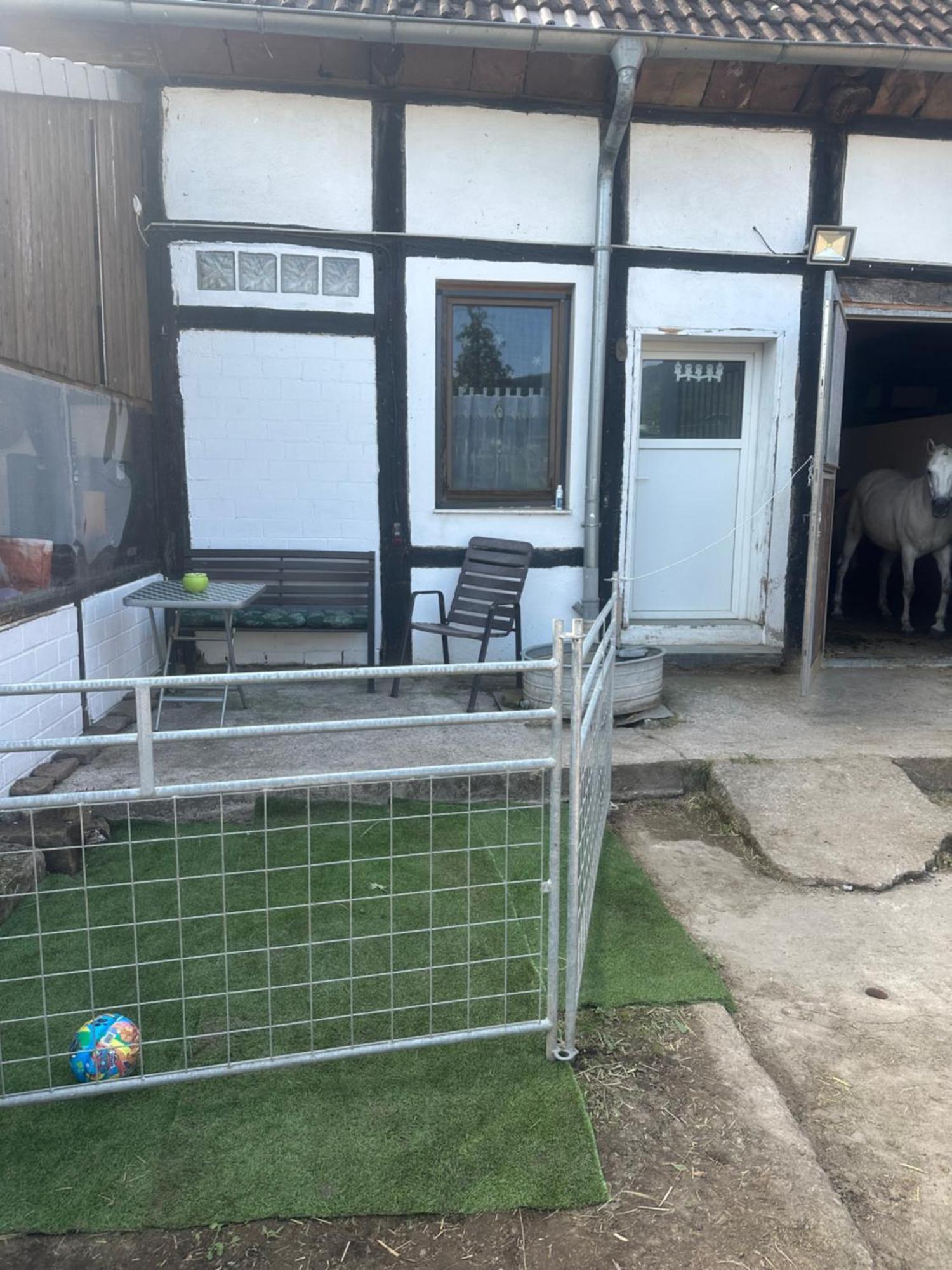 Fewo Im Reit- Und Ponyparadies Roos Halle  Экстерьер фото