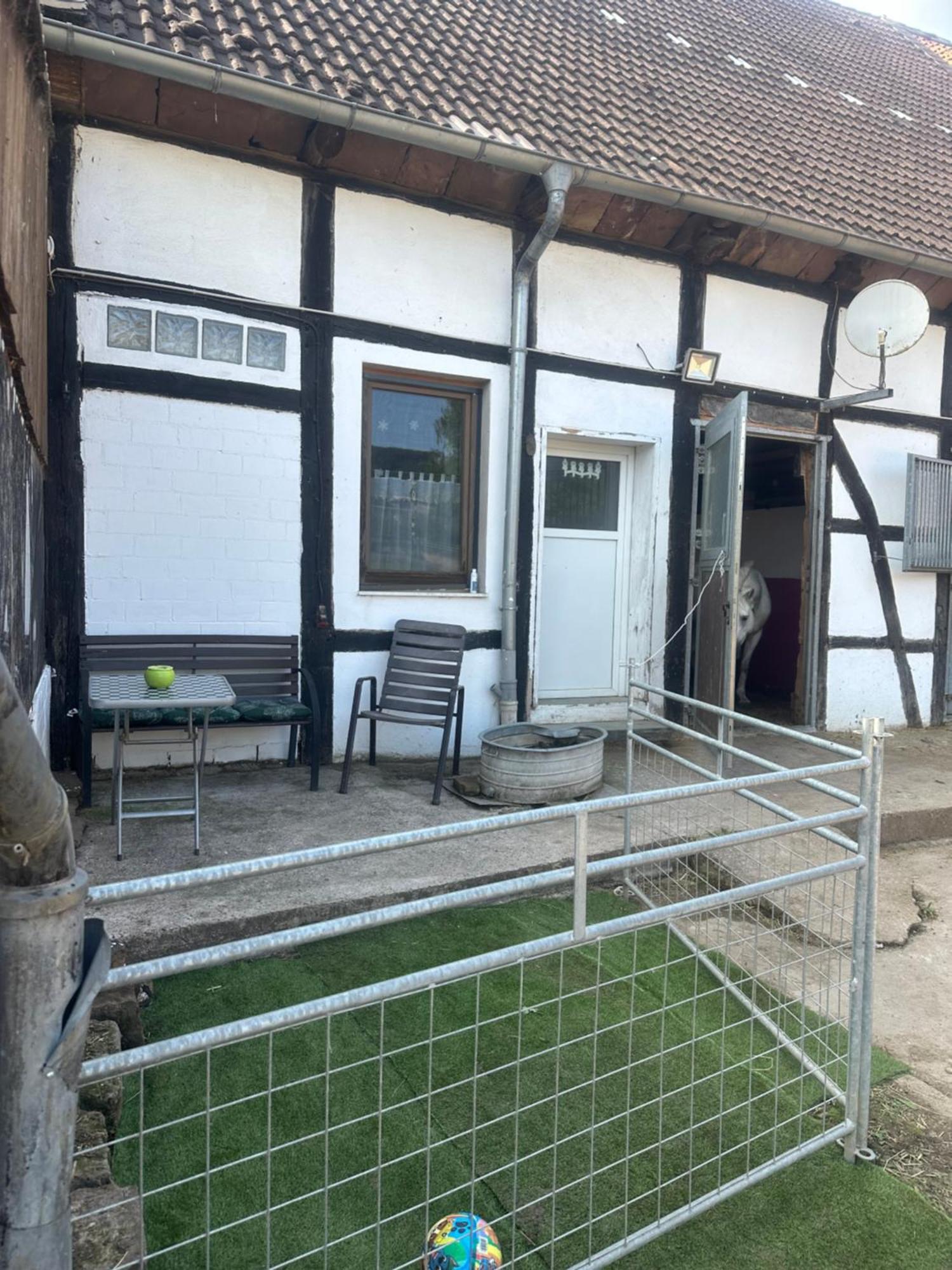 Fewo Im Reit- Und Ponyparadies Roos Halle  Экстерьер фото